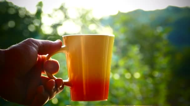 Пейте вкусный чай в природе. Кружку горячего чая на закате. Имеется пар из черного или зеленого чая. Возьми чашку. . — стоковое видео