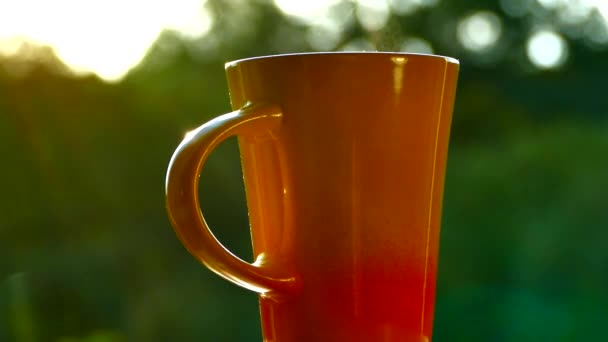 Trinken Sie köstlichen Tee in der Natur. einen Becher heißen Tee bei Sonnenuntergang. Es gibt Dampf aus schwarzem oder grünem Tee. Hand nimmt eine Tasse. — Stockvideo