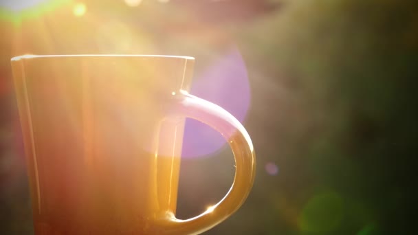 Trinken Sie köstlichen Tee in der Natur. einen Becher heißen Tee bei Sonnenuntergang. Es gibt Dampf aus schwarzem oder grünem Tee. Hand nimmt eine Tasse. — Stockvideo