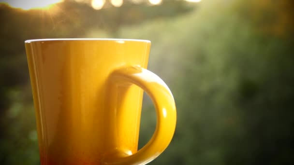 Drick gott te i naturen. En mugg hett te i solnedgången. Det finns ånga från svart eller grönt te. Hand ta en kopp. — Stockvideo