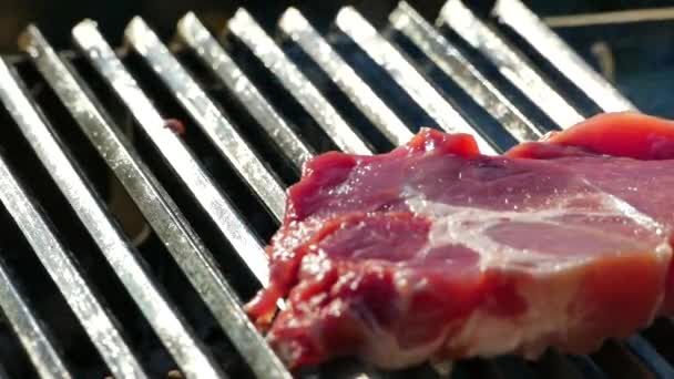 Prepare Bife Carne Crua Uma Grelha Churrasco Piquenique Frite Pedaço — Vídeo de Stock