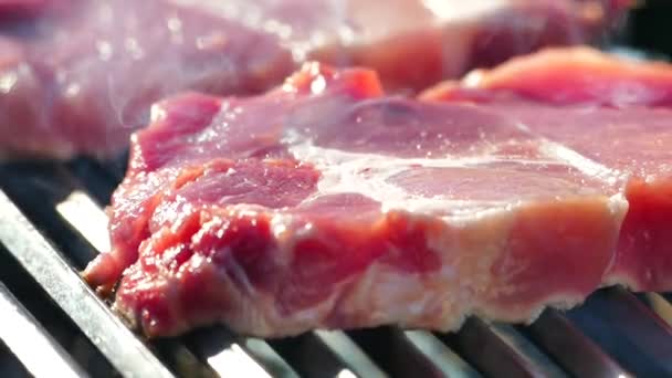 从烤肉架上的生肉中准备一份牛排 野餐时 煎一块猪肉 在自然界中 放松和打开一个脂肪煎牛排 — 图库视频影像