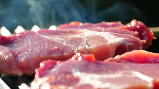 Prepare Filete Carne Cruda Una Parrilla Barbacoa Picnic Freír Trozo — Vídeo de stock