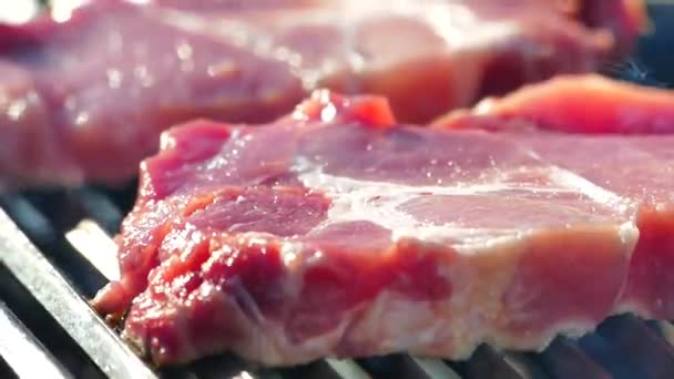 Prepare Bife Carne Crua Uma Grelha Churrasco Piquenique Frite Pedaço — Vídeo de Stock