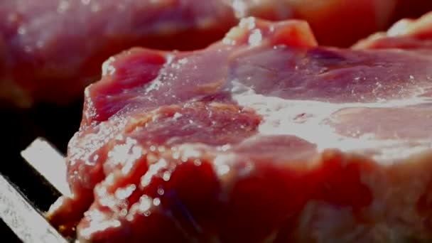 从烤肉架上的生肉中准备一份牛排 野餐时 煎一块猪肉 在自然界中 放松和打开一个脂肪煎牛排 — 图库视频影像