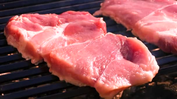 Çiğ Bir Barbekü Izgara Dan Biftek Hazırlamak Pikniğe Bir Parça — Stok video