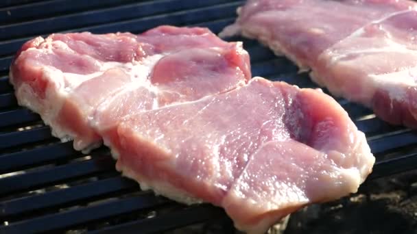 Prepare Bife Carne Crua Uma Grelha Churrasco Piquenique Frite Pedaço — Vídeo de Stock