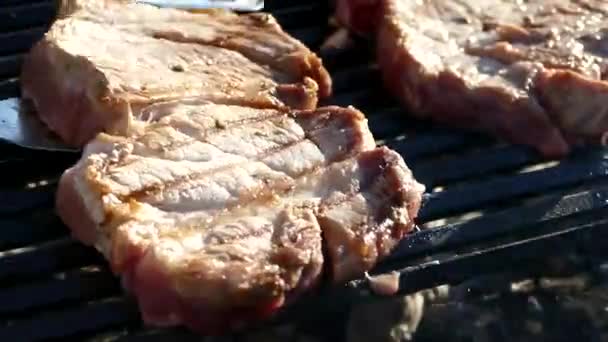 Çiğ Bir Barbekü Izgara Dan Biftek Hazırlamak Pikniğe Bir Parça — Stok video