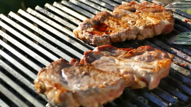 Çiğ Bir Barbekü Izgara Dan Biftek Hazırlamak Pikniğe Bir Parça — Stok video