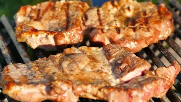 バーベキュー グリルで生肉からステーキを準備します ピクニックに豚肉の部分を炒めます 自然の中でリラックス 脂肪揚げステーキを裏返します — ストック動画