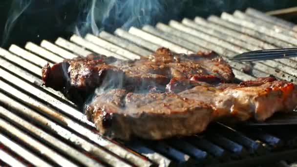 Prepare Steak Raw Meat Barbecue Grill Picnic Fry Piece Pork — Stock Video