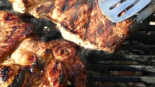 Prepare Filete Carne Cruda Una Parrilla Barbacoa Picnic Freír Trozo — Vídeo de stock