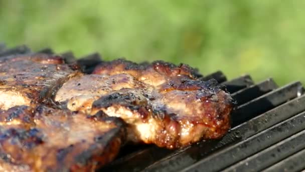 バーベキュー グリルで生肉からステーキを準備します ピクニックに豚肉の部分を炒めます 自然の中でリラックス 脂肪揚げステーキを裏返します — ストック動画