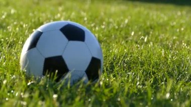 Baba ve oğul bahçesinde futbol oynayalım. Yeşil çim oyunda. Doğada birlikte mutlu aile.