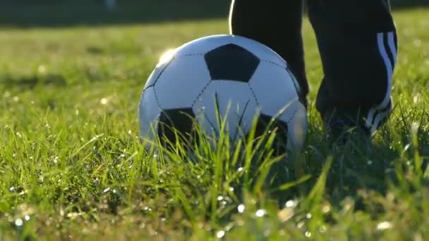 Père Fils Jouent Foot Dans Cour Jeu Dans Herbe Verte — Video