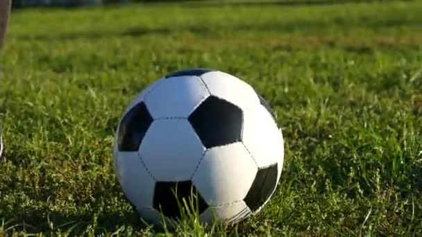 Ojciec Syn Grać Piłkę Piłce Nożnej Stoczni Gra Zielonej Trawie — Wideo stockowe