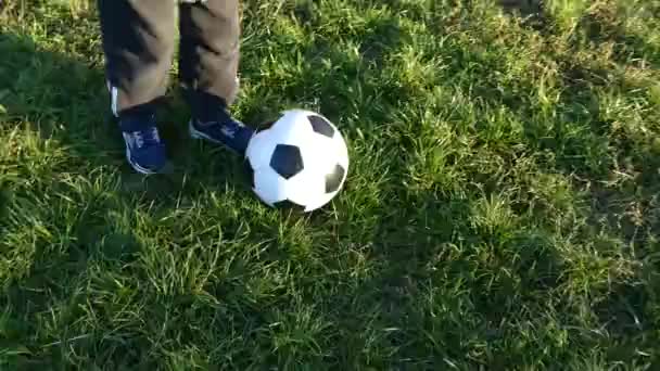 Far Och Son Spela Boll Gården Fotbollen Spel Det Gröna — Stockvideo