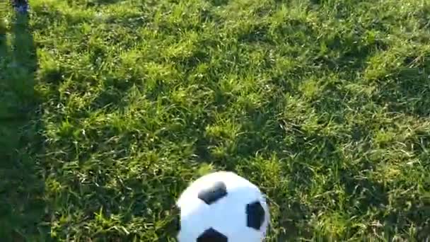 Père Fils Jouent Foot Dans Cour Jeu Dans Herbe Verte — Video