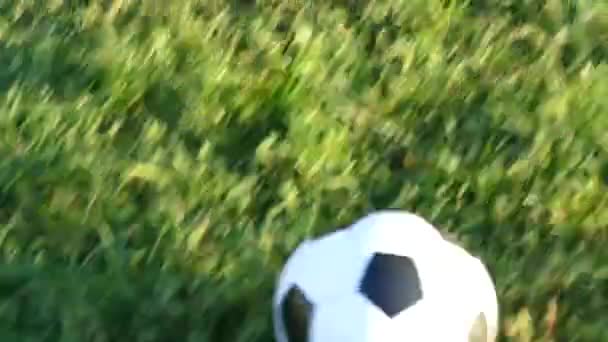 Padre Hijo Juegan Pelota Patio Fútbol Juego Hierba Verde Familia — Vídeos de Stock