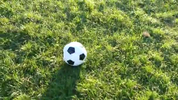 Отец Сын Играют Футбол Дворе Игра Зеленой Траве Счастливая Семья — стоковое видео