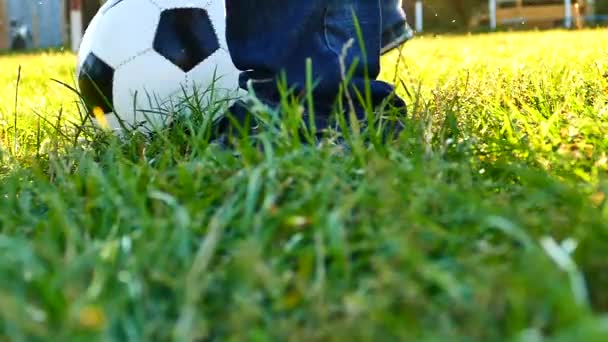 Padre Hijo Juegan Pelota Patio Fútbol Juego Hierba Verde Familia — Vídeo de stock