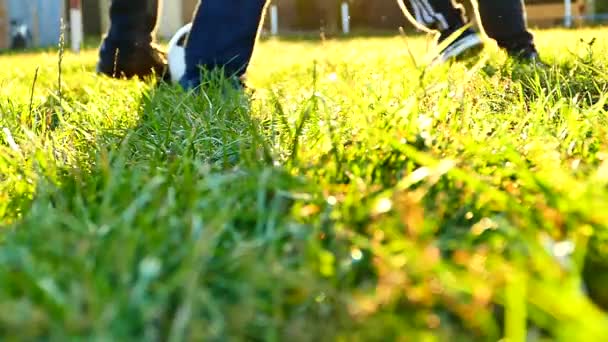 Père Fils Jouent Foot Dans Cour Jeu Dans Herbe Verte — Video