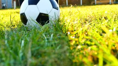 Baba ve oğul bahçesinde futbol oynayalım. Yeşil çim oyunda. Doğada birlikte mutlu aile.