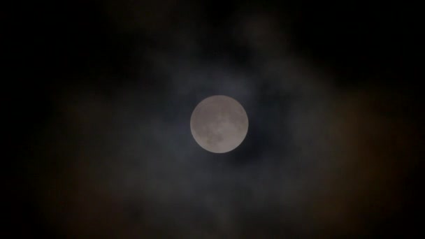 Nubes Cielo Nocturno Contra Fondo Luna — Vídeo de stock