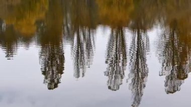 Göl sonbahar manzarasının su yüzeyindeki yansıması..