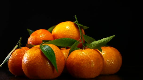 Tangerinas Bonitas Maduras Com Folhas Verdes Citrais Sobre Fundo Preto — Vídeo de Stock