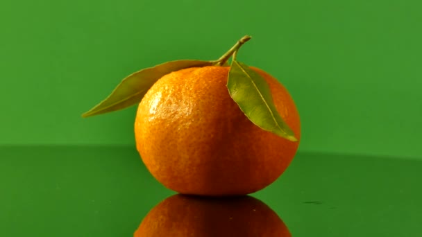 Reife Schöne Mandarinen Mit Grünen Blättern Zitrusfrüchte Auf Schwarzem Hintergrund — Stockvideo