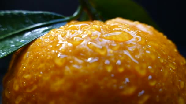 Ripe beautiful tangerines with green leaves. Citruses on a black background. Green background, green screen and chrome keyer. — Stock Video