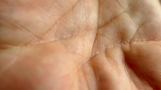 Kůže Mužské Ruce Ohnutá Dlaň Kůže Textura Ruky Epidermis — Stock video