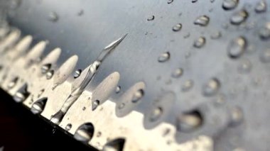 Şefin bıçak yakın çekim. Bıçak dövme. bıçak bıçak. Damla su akışı bir bıçak bıçak aşağı. Sebze kesme. Öğle yemeği yemek. Yansıma soğuk silahlar.