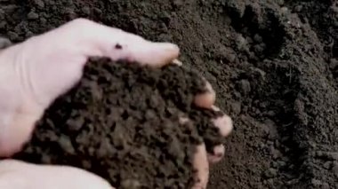 Çiftçi elleriyle yere dokunur. Ellerinde siyah toprak var. Ekim.