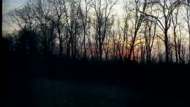 Пейзаж за окном движущегося поезда. Солнце светит сквозь деревья. . — стоковое видео