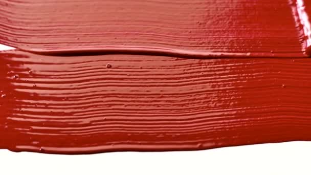 アートブラシ カラーバックグラウンド キャンバスを塗るブラシ 赤の塗料で塗装する — ストック動画