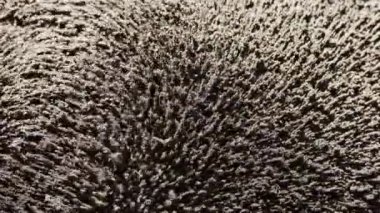 Manyetik alan demir talaşlarını ve tozu etkiler. Mıknatıs ve elektrik. Gri arkaplanda soyutlama ve doku.