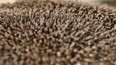 Manyetik alan demir talaşlarını ve tozu etkiler. Mıknatıs ve elektrik. Renkli arkaplanda soyutlama ve doku.