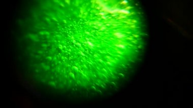 Mikroskop altında mukoza maddesi. Araştırma maddesi. Yapışkan sıvı. Bilimsel araştırma.