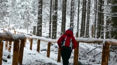 Karlı yoldan git. Kız turist dağ yoluna tırmanıyor. Doğada aktif kış tatili. Güzel karlı ağaçlar.