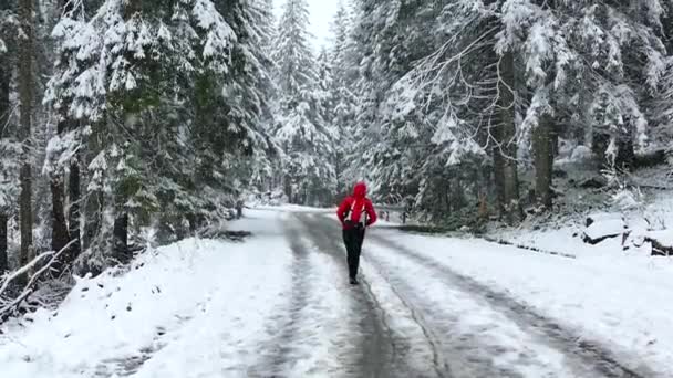 Jedź Śnieżną Drogą Turystka Wspina Się Górskiej Drodze Aktywny Zimowy — Wideo stockowe