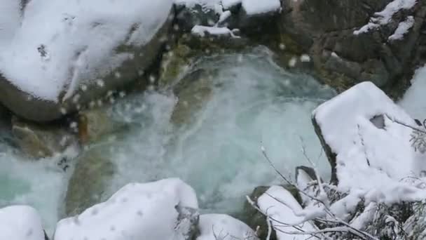 Rio Montanha Inverno Bela Paisagem Inverno Nas Montanhas — Vídeo de Stock