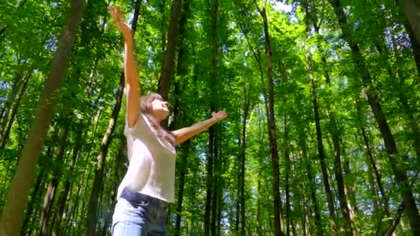 Menina Caminhando Por Uma Bela Floresta Verde Summer Park Acampar — Vídeo de Stock
