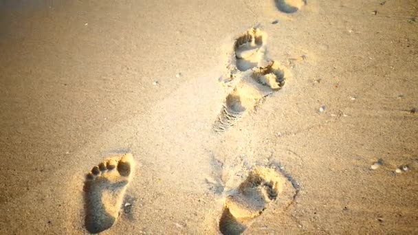 海边的沙滩 沿海沙滩上的脚印 — 图库视频影像