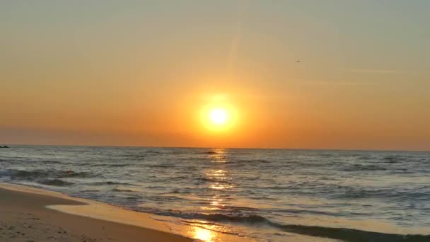 Piękny Świt Wschód Słońca Nad Horyzontem Morskim Rano Nad Oceanem — Wideo stockowe