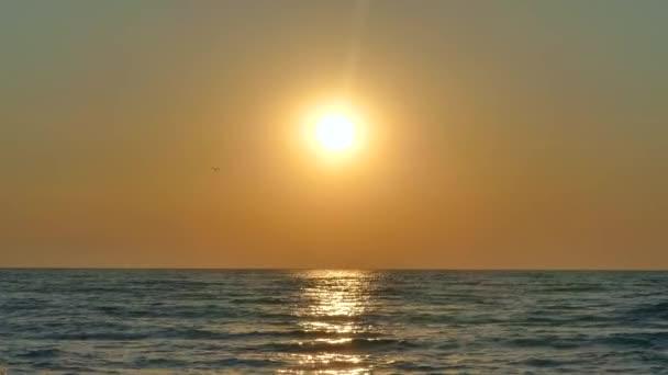 Όμορφη Αυγή Ήλιος Ανατέλλει Στον Ορίζοντα Πρωί Πάνω Από Τον — Αρχείο Βίντεο