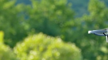 Kuadrokopter havadayken izliyor. İnsansız hava aracı yeşil arka planda uçar. Havadan çekim yapmak..