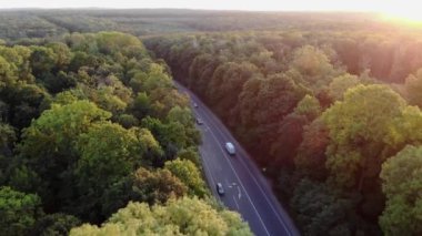 Ormanın içinden geçen yol. Gün batımında otoyol üst görünümü. Arabalar bir orman boyunca döşenmiş bir asfalt yol boyunca sürücü. Aero çekim izleri.