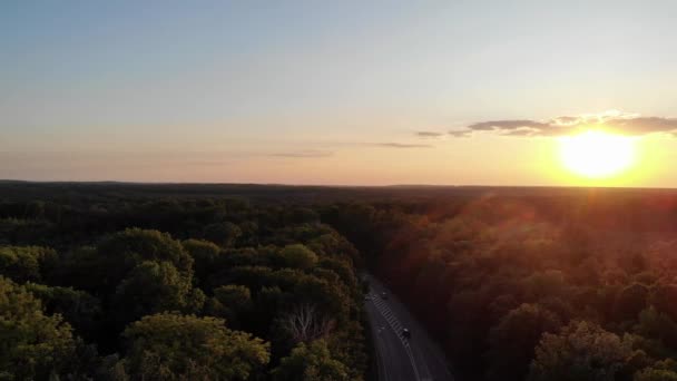 Route Travers Forêt Vue Sur Autoroute Coucher Soleil Les Voitures — Video